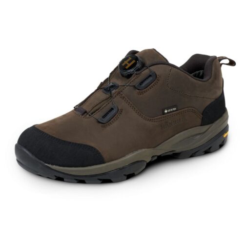 Topánky Härkila Reidmar Low GTX
